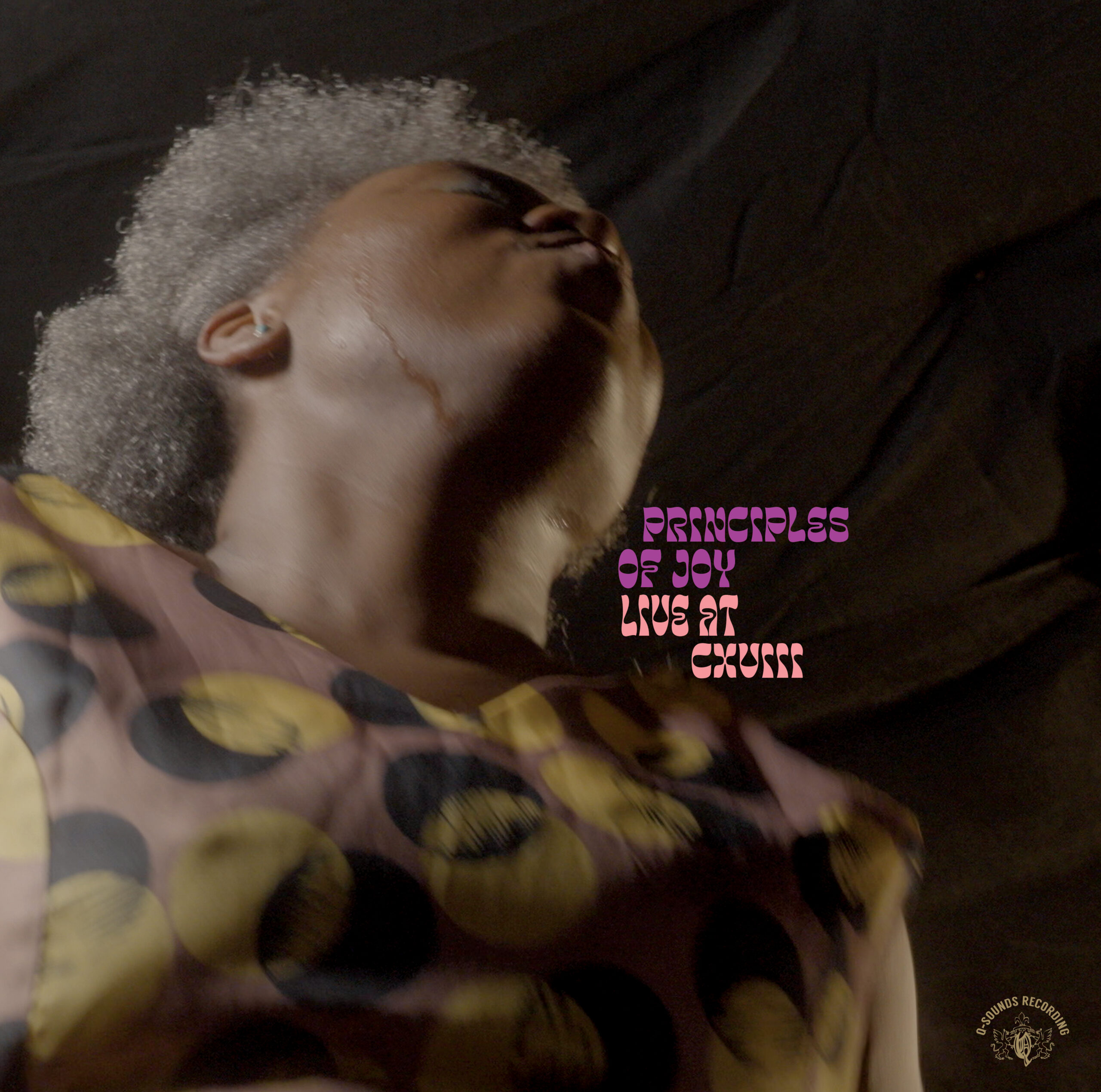 Nouvel Album: PRINCIPLES OF JOY